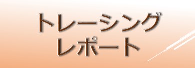 トレーシングレポート